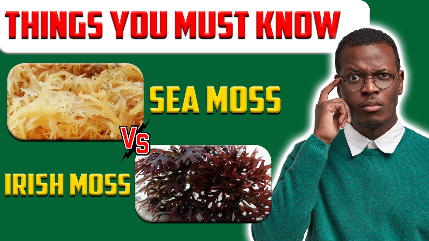 Sea Moss vs Irish Moss: Things You Must Know - Nature's Health Haven
