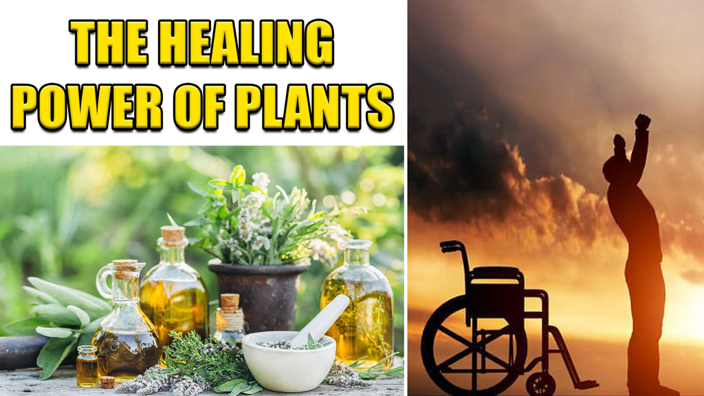 The Healing Power of Plants: Why You Should Consider Plant-Based Medicine