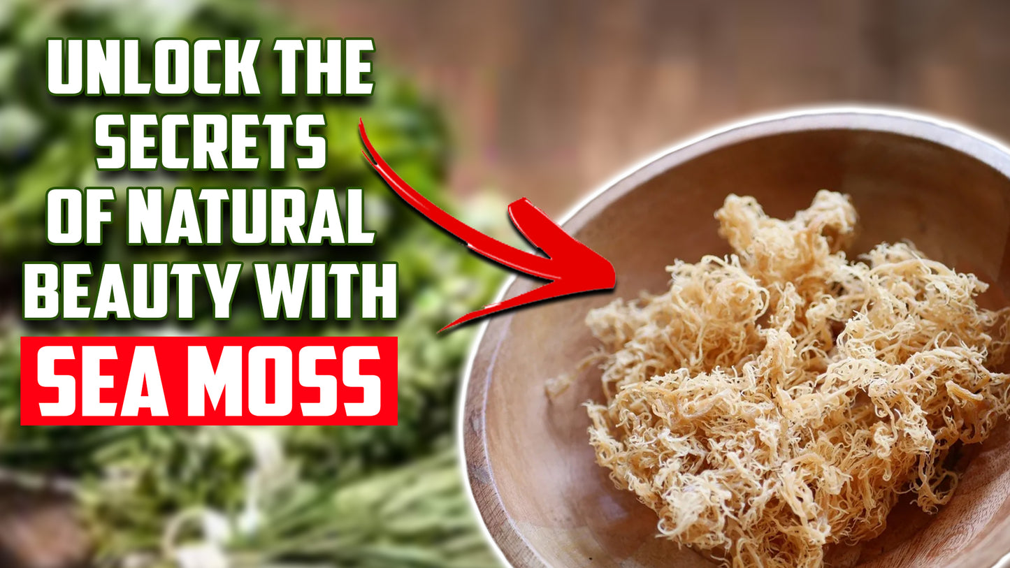 Unlock the Secrets of Natural Beauty with Sea Moss - Nature's Health Haven